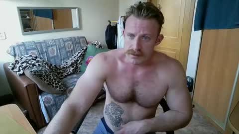WhiteBull online show from 08.02.26