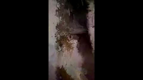 Snapshot of whitelava_4u chatting on 12.02.25 whitelava_4u online show from 12.02.25