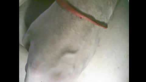 whitelines1991 online show from 03.06.26