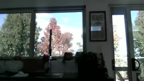 whitepantyman1973 online show from 04.29.26