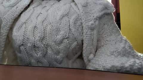 Snapshot of whitesweater chatting on 10.20.25 whitesweater online show from 10.20.25