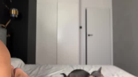 Snapshot of why_____not chatting on 10.02.25 Alice online show from 10.02.25