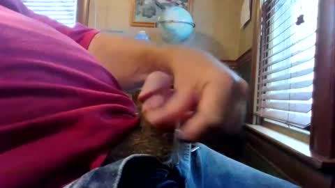 whydog online show from 11.27.25