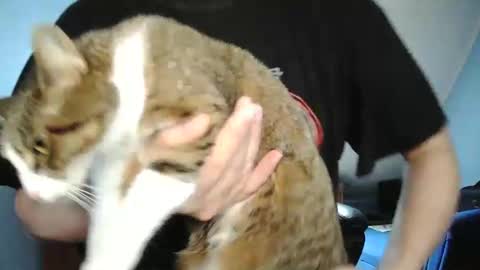 Snapshot of wickes71 chatting on 12.30.24 Tommy online show from 12.30.24