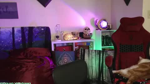 Gretchen  Jimmy online show from 07.21.26