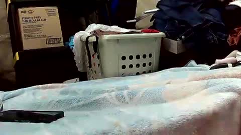 Snapshot of wife_phucker69 chatting on 10.20.25 Ryder Harder online show from 10.20.25