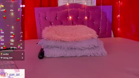 Snapshot of wild_lilhy chatting on 02.14.25 Lily online show from 02.14.25