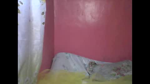 Snapshot of wild_sunflower11 chatting on 12.25.24 wild_sunflower11 online show from 12.25.24