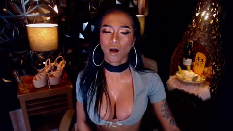 wildara online show from 01.17.25