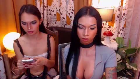 wildara online show from 02.03.25