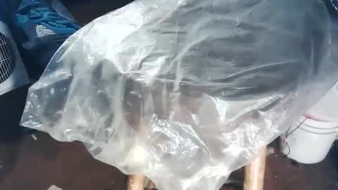 Snapshot of wildman6 chatting on 11.02.25 wildman6 online show from 11.02.25