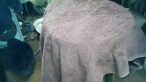 Snapshot of wildman6 chatting on 03.28.26 wildman6 online show from 03.28.26