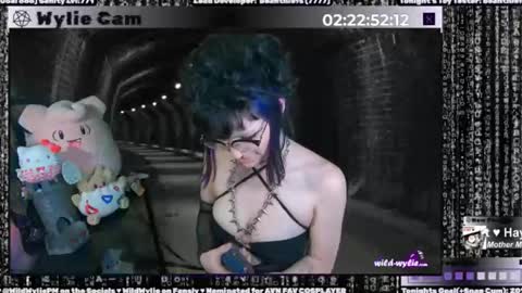 Snapshot of wildwylie chatting on 01.15.25 Wylie Wanderlust online show from 01.15.25