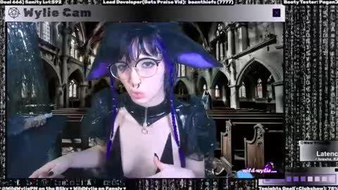 Snapshot of wildwylie chatting on 01.31.25 Wylie Wanderlust online show from 01.31.25