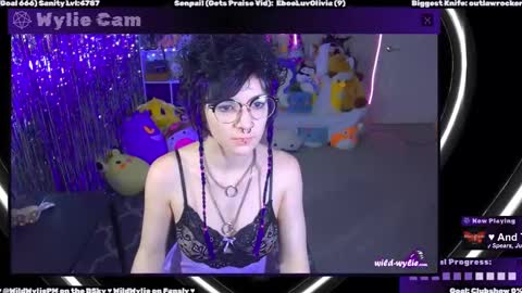 Snapshot of wildwylie chatting on 02.04.25 Wylie Wanderlust online show from 02.04.25