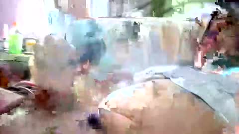 willdigi1 online show from 12.26.24