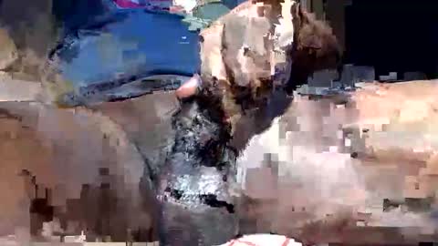 willianel online show from 12.13.25