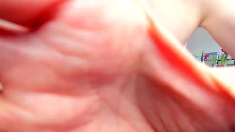 Snapshot of willlytr chatting on 02.20.25 Wilhelmina better Willy online show from 02.20.25