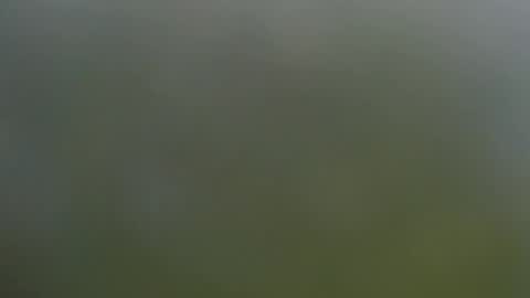 Snapshot of wisanonymousman chatting on 11.11.25 Wisa Randy online show from 11.11.25