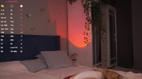 Hollis online show from 12.05.25