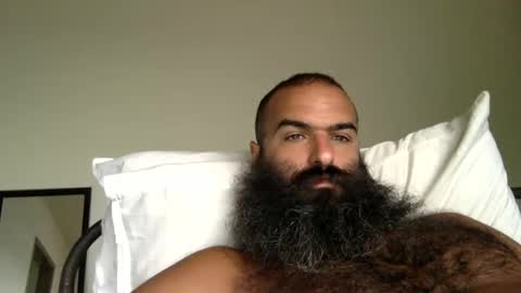 woof_wolf37 online show from 09.12.25