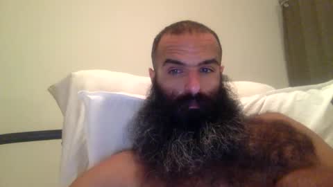 woof_wolf37 online show from 02.28.26