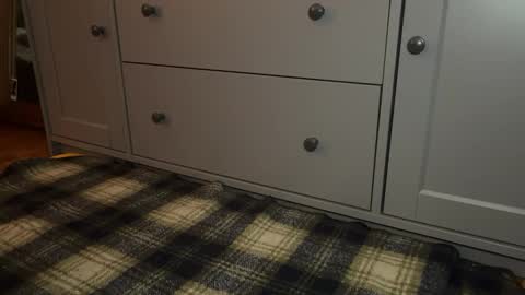 Sage online show from 12.21.25