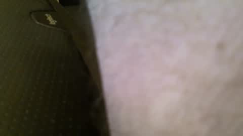 wrangleat0r online show from 01.11.26