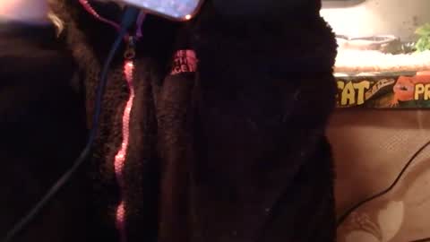 Snapshot of x2kayx2 chatting on 01.10.26 x2kayx2 online show from 01.10.26