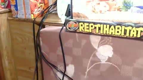 Snapshot of x2kayx2 chatting on 01.13.26 x2kayx2 online show from 01.13.26