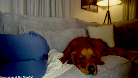 Lily online show from 09.15.25