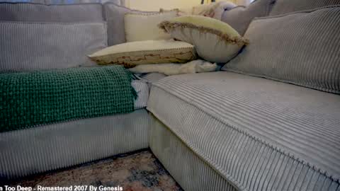 Lily online show from 03.04.26