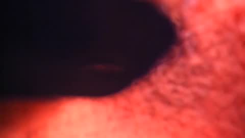 XALLYSONX online show from 02.12.25