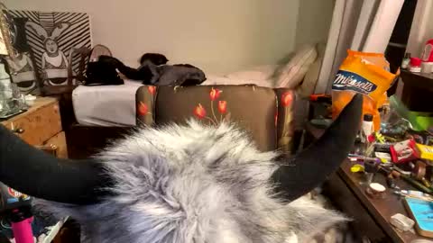 xander0zzz online show from 03.13.26