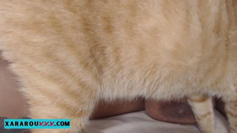       S A R A      100K followers online show from 01.13.25