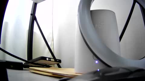 xavicock24 online show from 03.16.26