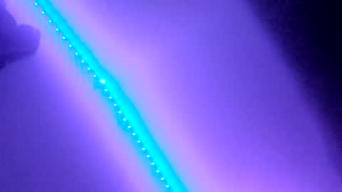 BabyGirl online show from 12.30.24