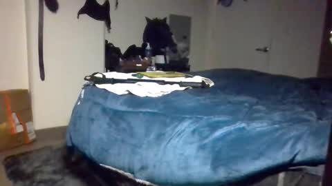 Toke online show from 12.09.24