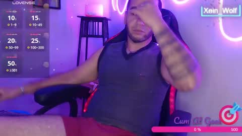 Xein Independent Model online show from 02.11.25