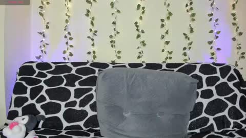    online show from 06.12.26