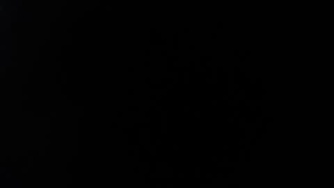 ximlopexx online show from 10.02.25