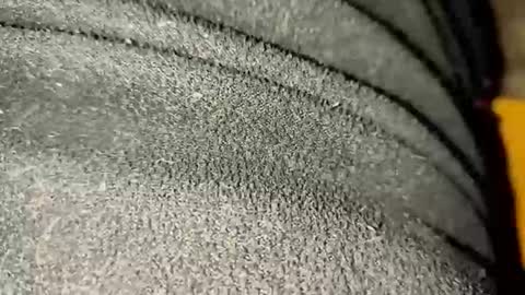 ximradiaz online show from 11.23.25