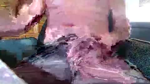 Snapshot of xmen43hot chatting on 09.18.25 xmen43hot online show from 09.18.25