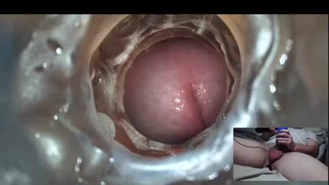 Snapshot of xoxowtf chatting on 02.24.25 xoxowtf online show from 02.24.25