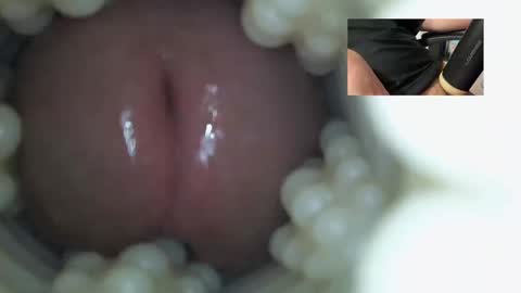 xoxowtf online show from 12.21.25