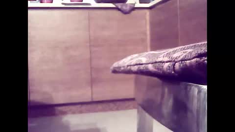 Snapshot of xsoul72 chatting on 02.26.25 xsoul72 online show from 02.26.25