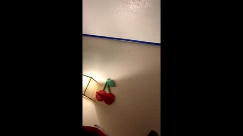 Snapshot of xtika chatting on 01.19.25 xtika online show from 01.19.25