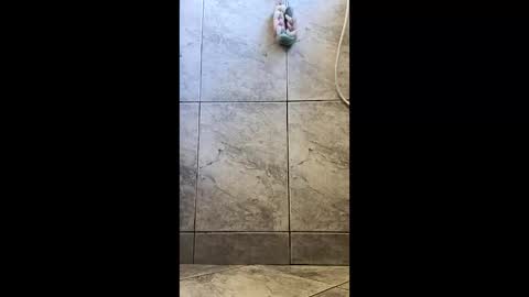 Snapshot of xviktorbr chatting on 03.26.26 xviktorbr online show from 03.26.26