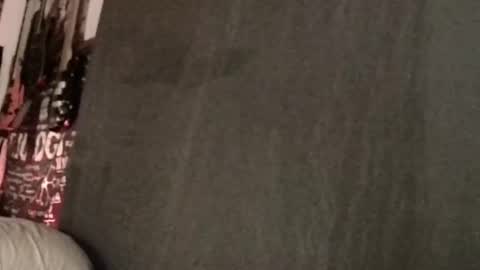 Snapshot of xxwhitefoxx chatting on 03.11.25 David Fox online show from 03.11.25