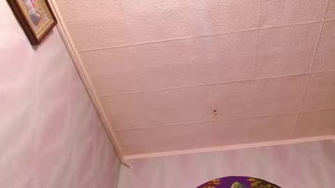 isa and gonzo online show from 02.02.25